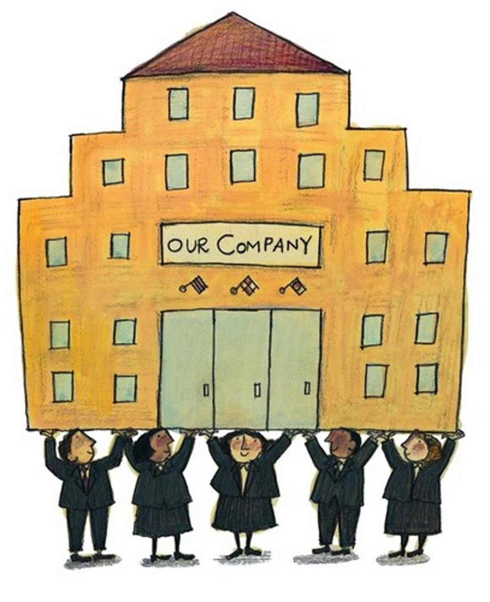 <p>company</p>