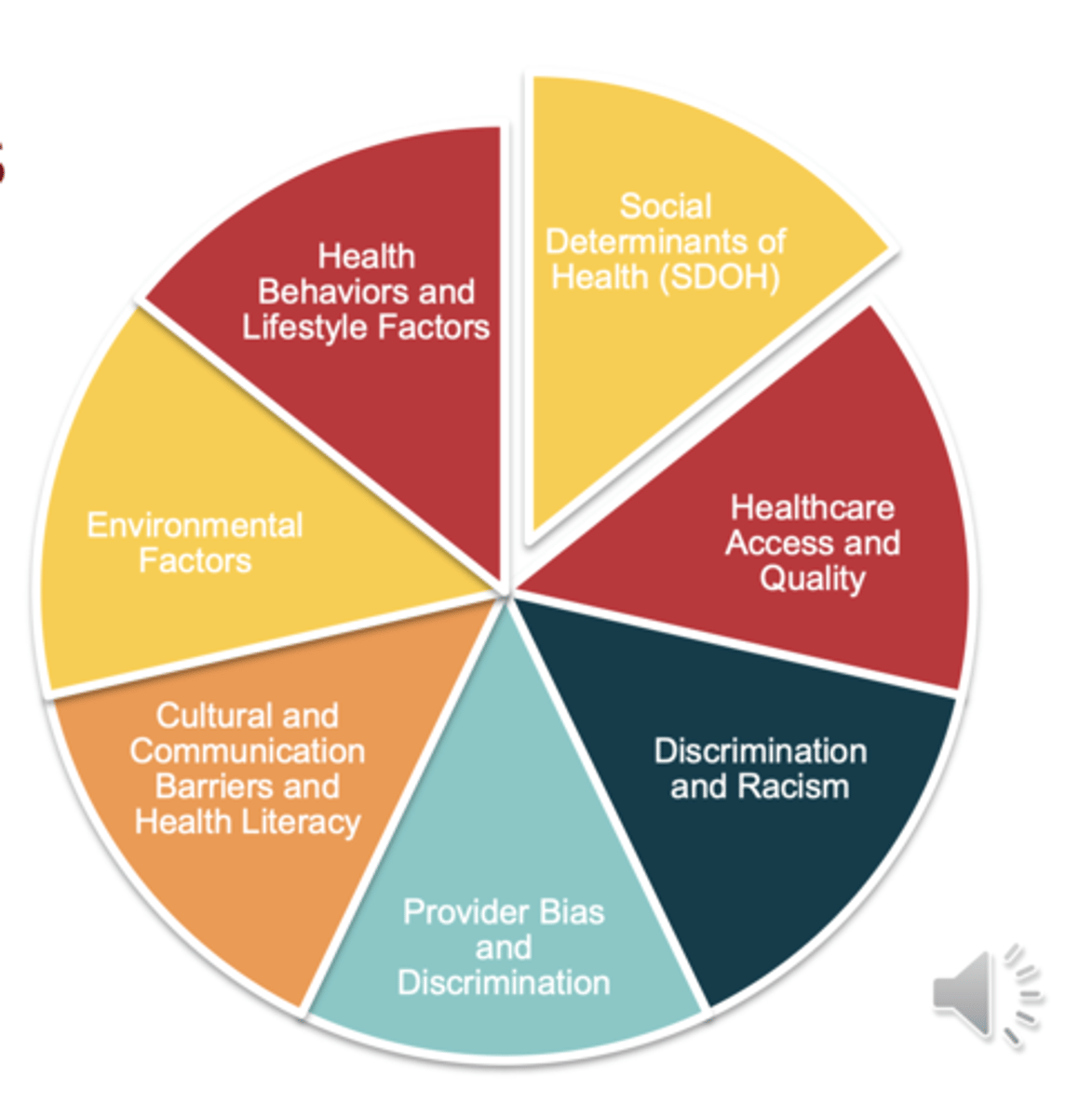 <p>social determinants, healthcare access/quality, discrimination &amp; racism, provider bias, health behaviors, environmental factors, and communication/health literacy barriers</p>