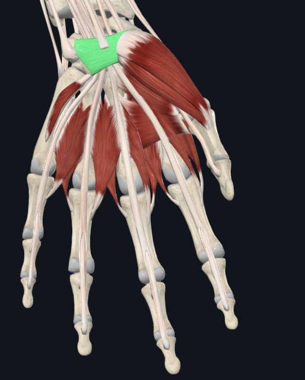 <p>What is this</p>