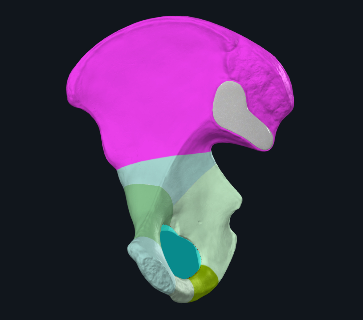 term image