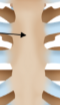 <p>Body (corpus)</p>