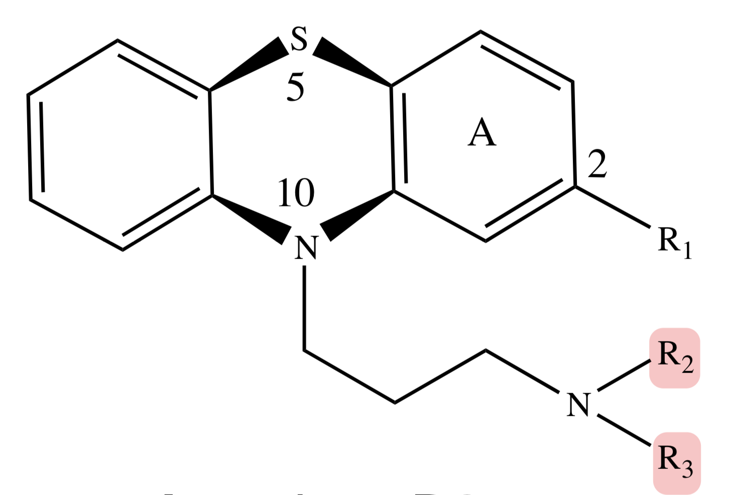 <p>PHENOTHIAZINE: side chains (R2 and R3)</p>