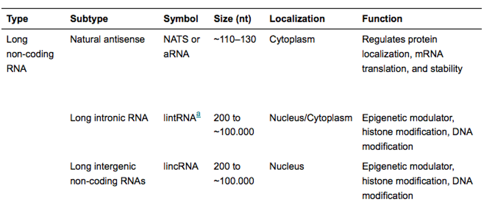 <p>long intronic RNA are from cleaved introns from mRNA</p>