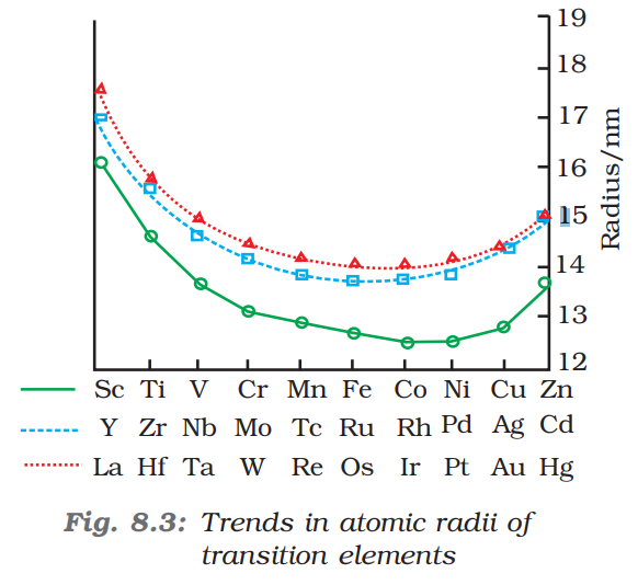 <ul><li><p>The equilibrium distance between the centre of the nucleus and the outermost energy level</p></li><li><p>In periods: decreases</p><p>due to an increase in nuclear charge</p></li><li><p>In groups: increases</p></li><li><p>Towards the end of a period, the elements show a very small difference in atomic radii and show a gradual increase in size due electron pairing effect of d-orbitals and an increased shielding effect which counterbalances the increase in nuclear charge</p></li><li><p>Effective nuclear charge Z* = Z (nuclear charge) - S (shielding effect) <em>see note for example</em></p><p></p><p></p><p></p></li></ul><p></p>