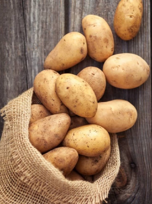 <p>potato</p>