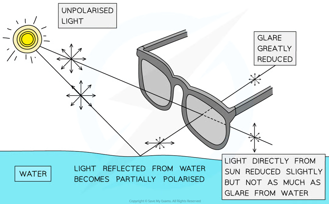 <ul><li><p>Sunglasses have a vertical polarising filter.</p></li><li><p>When light is reflected and partially horizontally polarised, upon passing through the glasses the light’s intensity will be greatly reduced (since horizontally polarised light cannot be transmitted).</p></li><li><p>This allows object below the water to be viewed clearer.</p></li></ul><p></p>