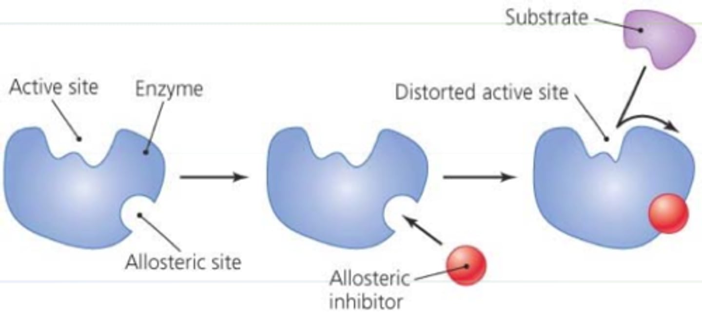 <p>-remote control</p><p>-inhibitor binds to different site than active site and control the active site (inhibitor binds and changes active site- less active)</p>