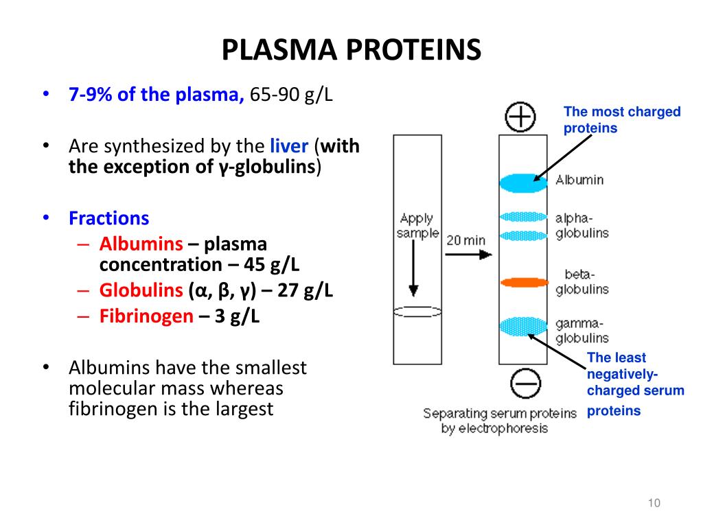 <p>define plasma proteins </p>