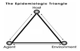 <p>Host, Agent, Environment</p>