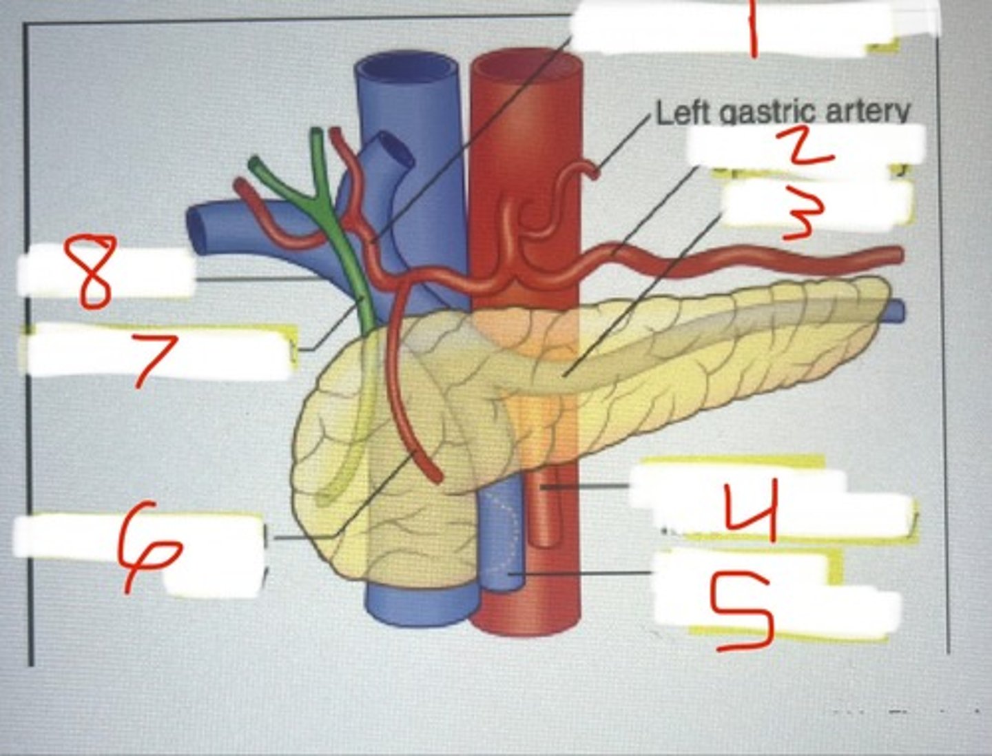 <p>7</p>