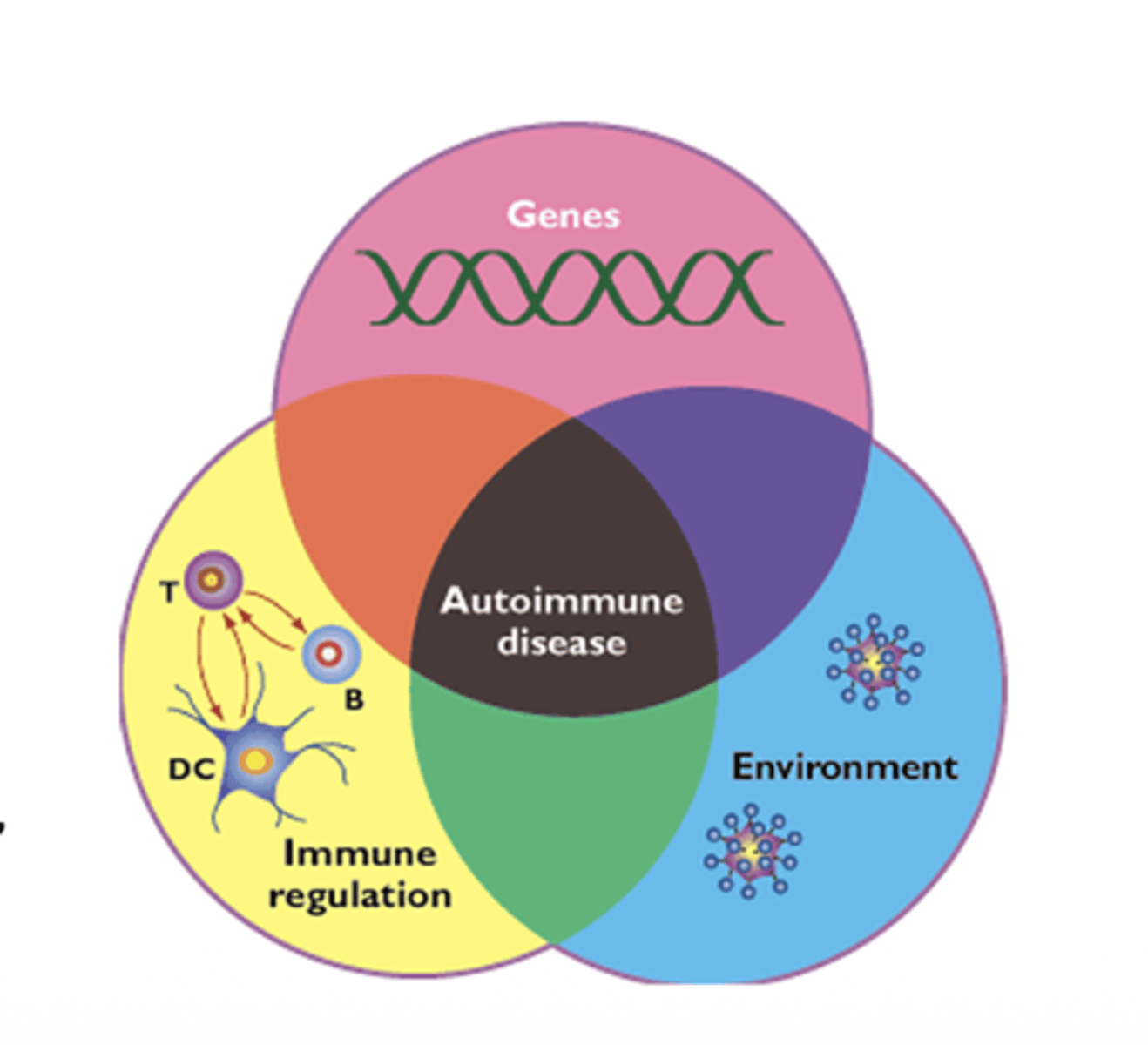 <p>A: They affect females more frequently than males. it may be linked to hormones, but unsure</p>