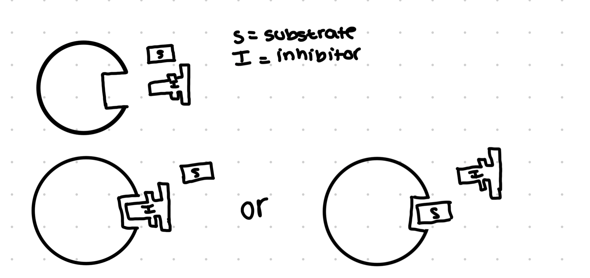 <ul><li><p>A competitive inhibitor has the same shape as the substrata molecule</p></li><li><p>They compete for the same active site</p></li><li><p>If the inhibitor enters the active site first, it means the substrate wont be able to bind</p></li><li><p>The relative concentration of inhibitor and substrate will determine the number of active sites occupied by inhibitors and the degree of inhibition</p></li><li><p>The effect on rate of reaction of higher the more inhibitors</p></li><li><p>The higher the concentration of substrate, the less inhibition occurs</p></li><li><p>Inhibition of competitive inhibitors reduces rate of enzyme activity</p></li></ul>