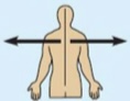 <p>Away from the midline; outer side.</p>