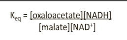 <p><strong>IClicker: </strong>Regulation of the citric acid cycle is based upon mass action. Thus, when the muscle is at rest, levels of ___ and ___ will be high while levels of ___ and ___ will be low.</p><p>(A) NAD+, oxaloacetate, NADH, malate</p><p>(B) NADH, malate, NAD+, oxaloacetate</p><p>(C) NAD+, malate, NADH, oxaloacetate</p><p>(D) NADH, oxaloacetate, NAD+, malate</p>