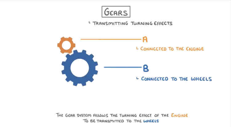 <p>Transmit turning effects.</p><ul><li><p>Gear B has double the radius of Gear A so the turning effect of it is double the turning effect of gear A.</p></li><li><p>But because Gear A rotates twice as Gear B rotates once the work done from both gears are equal.</p></li></ul>