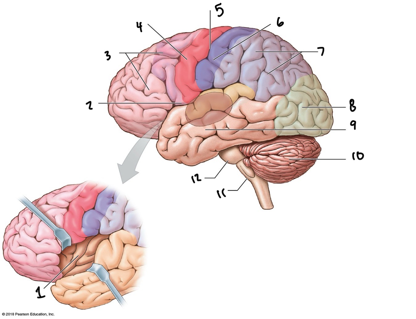 <p>What is 9</p>