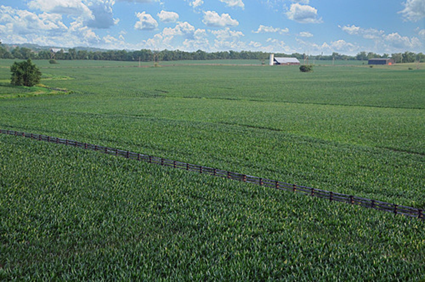<p>Long, hot summers and mild winters which were good for farming (long growing season)</p>