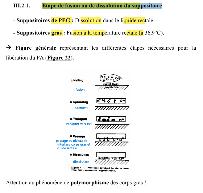 <p>schéma corp gras </p>