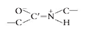 <p>A consequence of the partial double bond character is that rotation does not occur  about the carbonyl carbon to nitrogen of a peptide bond at physiological temperatures. A second consequence of the double bond character is that all the atoms attached to Cand  N lie in a common plane</p>