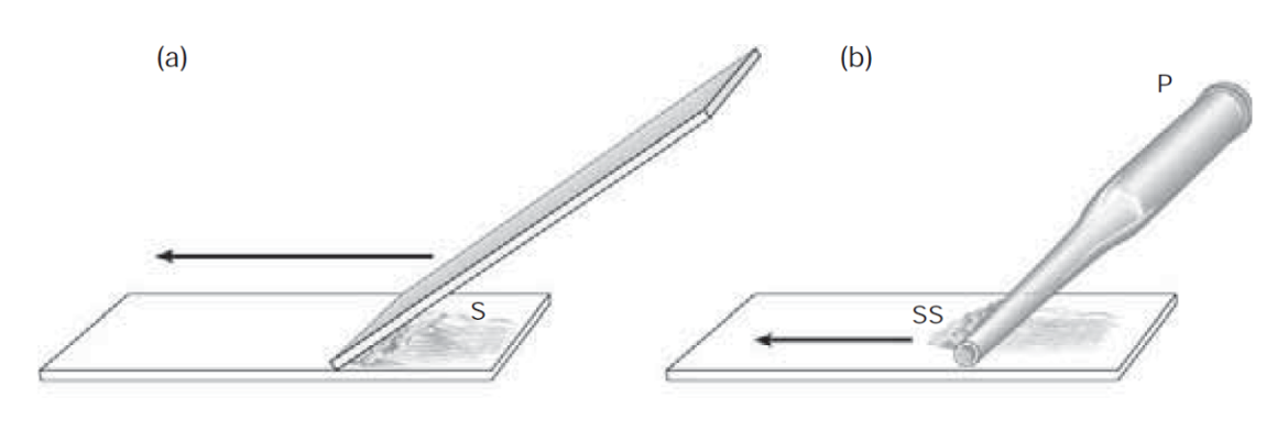 <p><span>§Feathering method (a) &amp; Pipette method (b)</span></p><p><span>Ethanol fixed and air-dried</span></p>