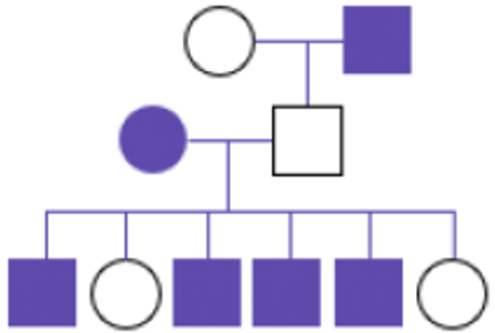 <p>What type of inheritance pattern primarily affects males through carrier mothers and has no father-to-son transmission?</p>