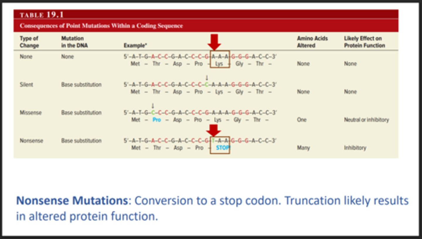 <p>A type of mutation that creates and early stop, this results in the protein being cut off short</p>