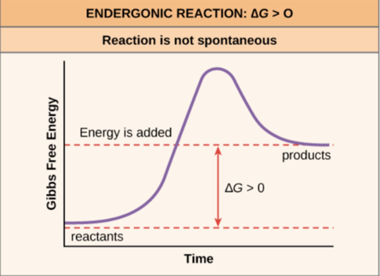 <p>endergonic</p>