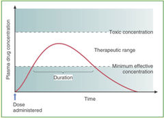 The length of time a drug is at the therapeutic level