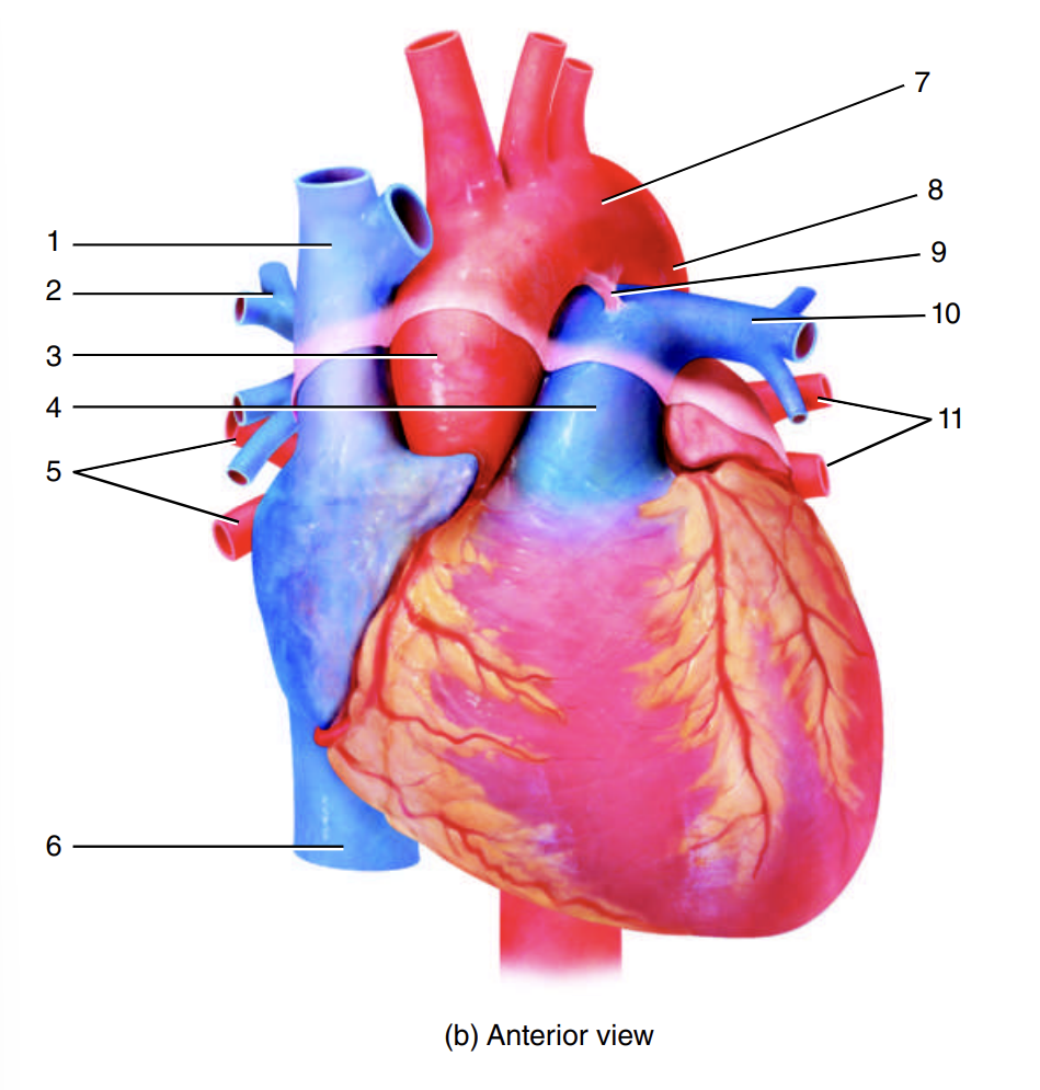 <p>2</p>