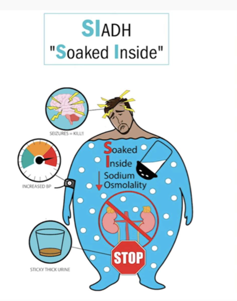 <p>- confusion, disorientation, delirium</p><p>- generalized muscle weakness, myoclonus, tremor, asterixis, hyporeflexia, ataxia, dysarthria, Cheyne-stokes respiration, pathologic reflexes</p><p>- generalized seizures, coma</p>