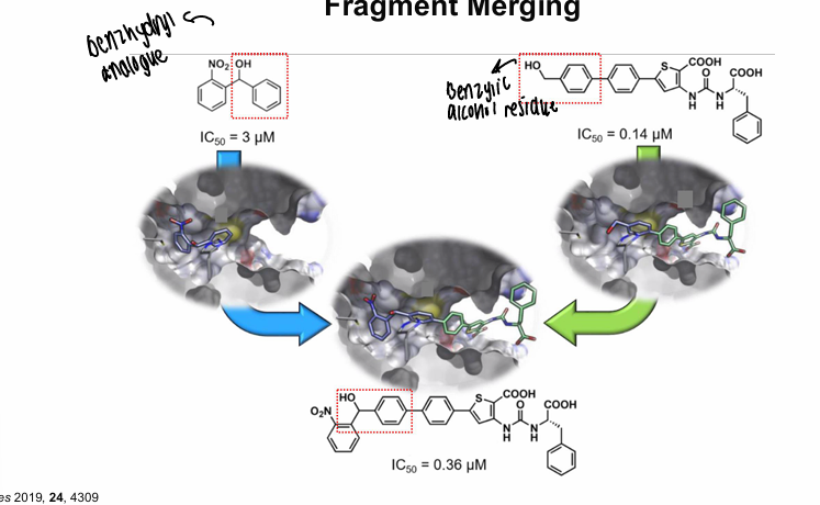 <p>Parts of both original molecules are found in the new lead </p>
