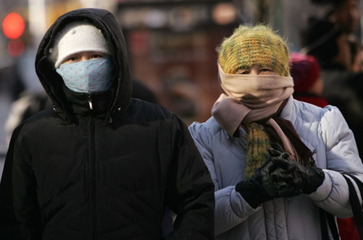 <p>wear several layers of clothing, a warm hat and go inside frequently to warm up</p>