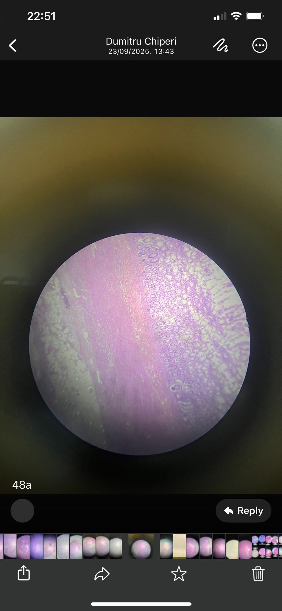 knowt flashcard image