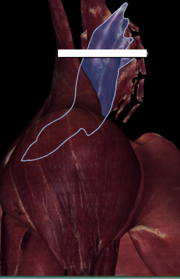 <p>?</p>