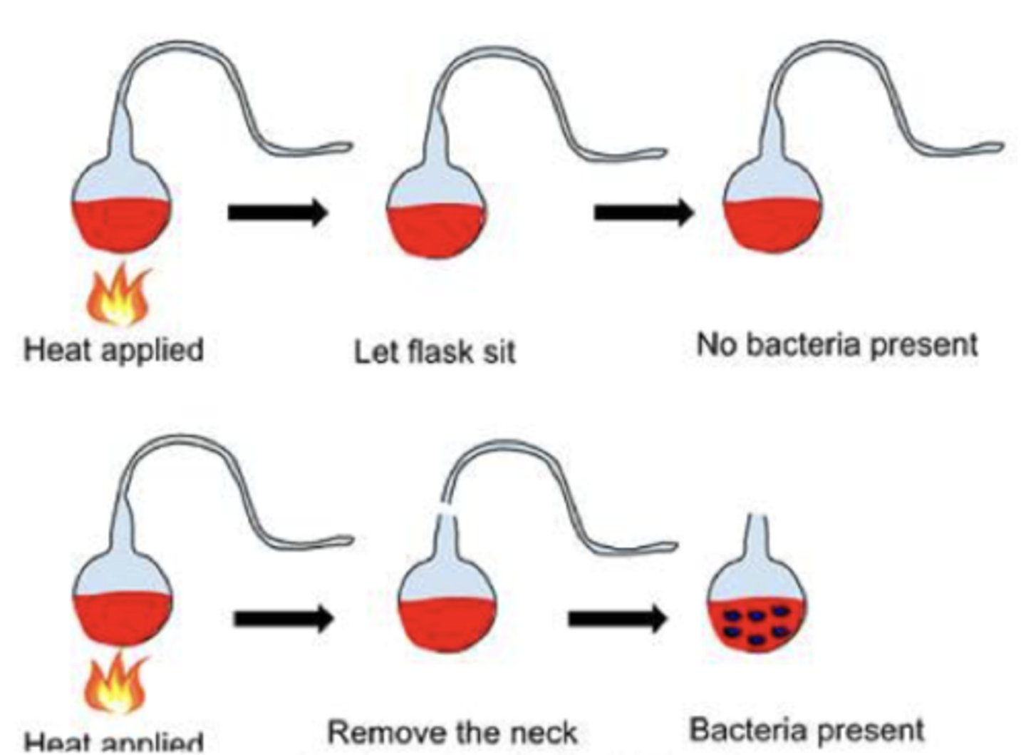 <p>Pasteur proved that microbes cannot be spontaneously generated from nonliving things</p>