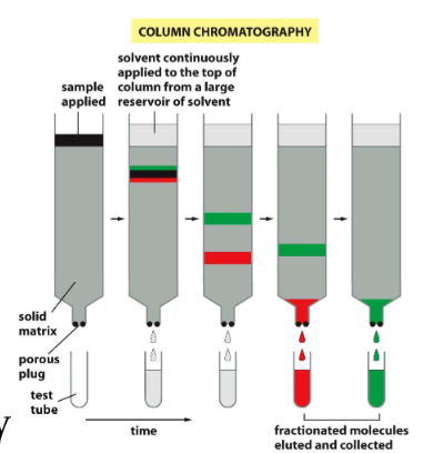 * mixture of proteins in solution pass through a column containing a porous solid matrix