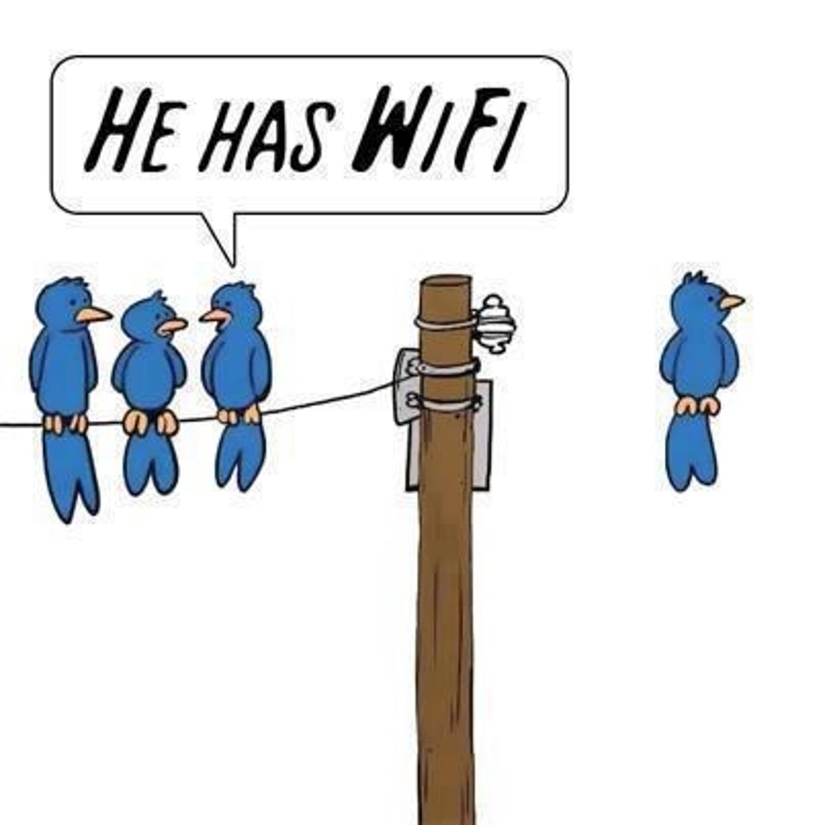 <p>he has</p>