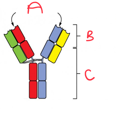 <p>What is B?</p>