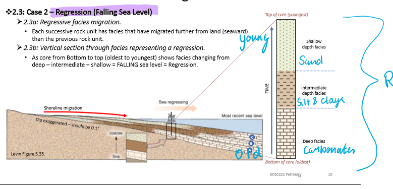 <p>Carbonates→ Silts → Clays → Sand</p><p>Oldest to youngest</p>
