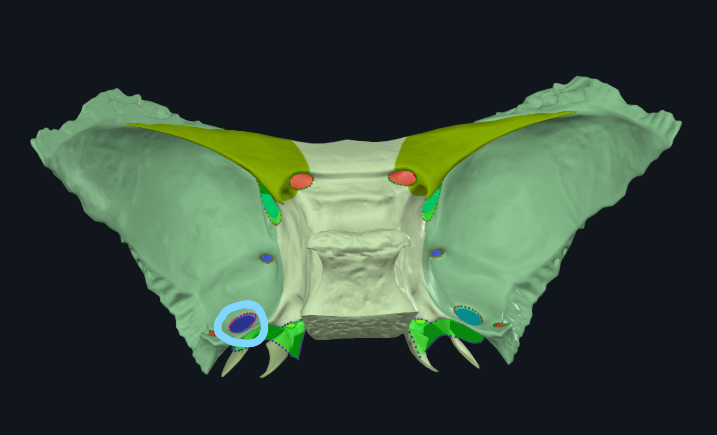 <p>What is circled</p>