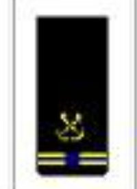 <p>Two thin gold stripes with one blue break below a specialty insignia</p>