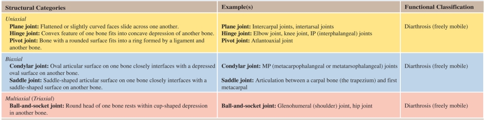 <p>What are the movements of synovial joints?</p>