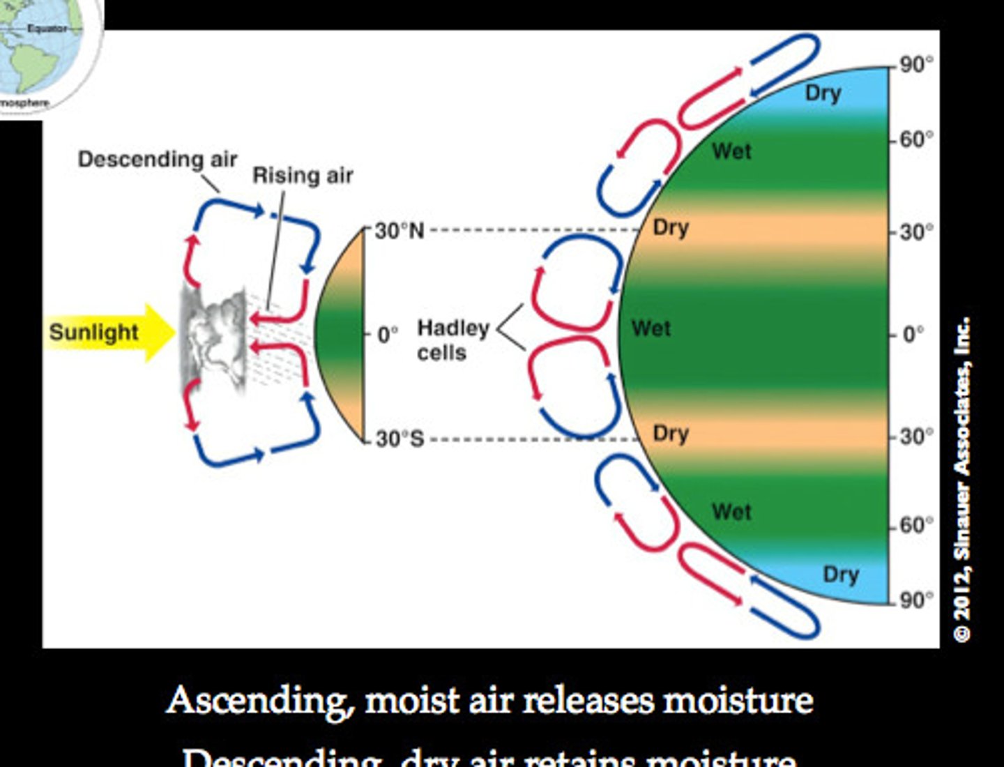 <p>a large-scale atmospheric convection cell in which air rises at the equator and sinks at medium latitudes, typically about 30° north or south.</p>