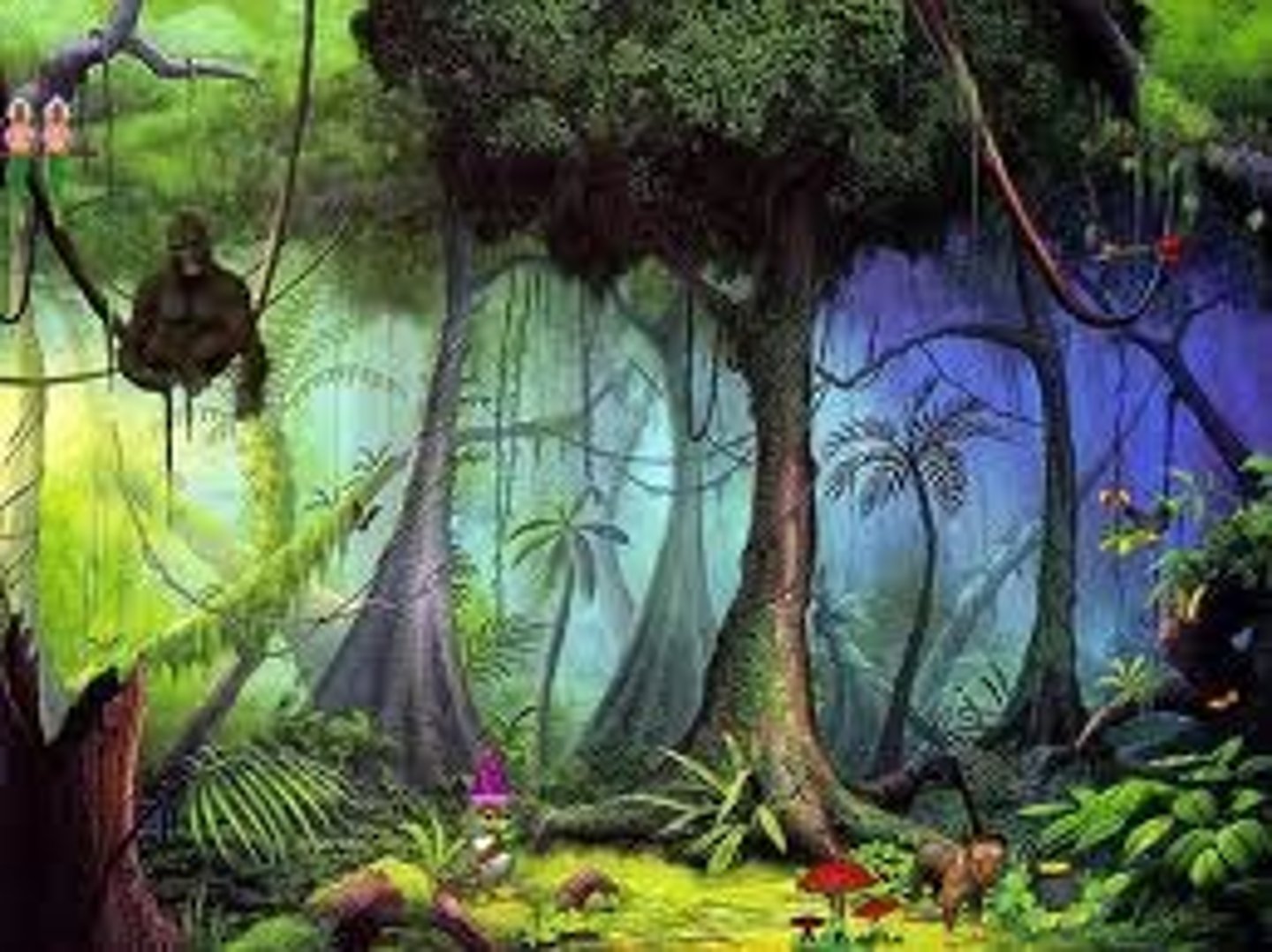 <p>tropical (rain) forest</p>