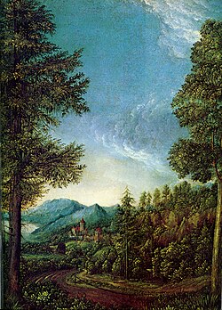 <ul><li><p>Albrecht Altdorfer </p></li><li><p>c. 1523</p></li><li><p>oil on vellum on wood panel</p></li><li><p>12” x 8-1/2”</p></li></ul><p></p>