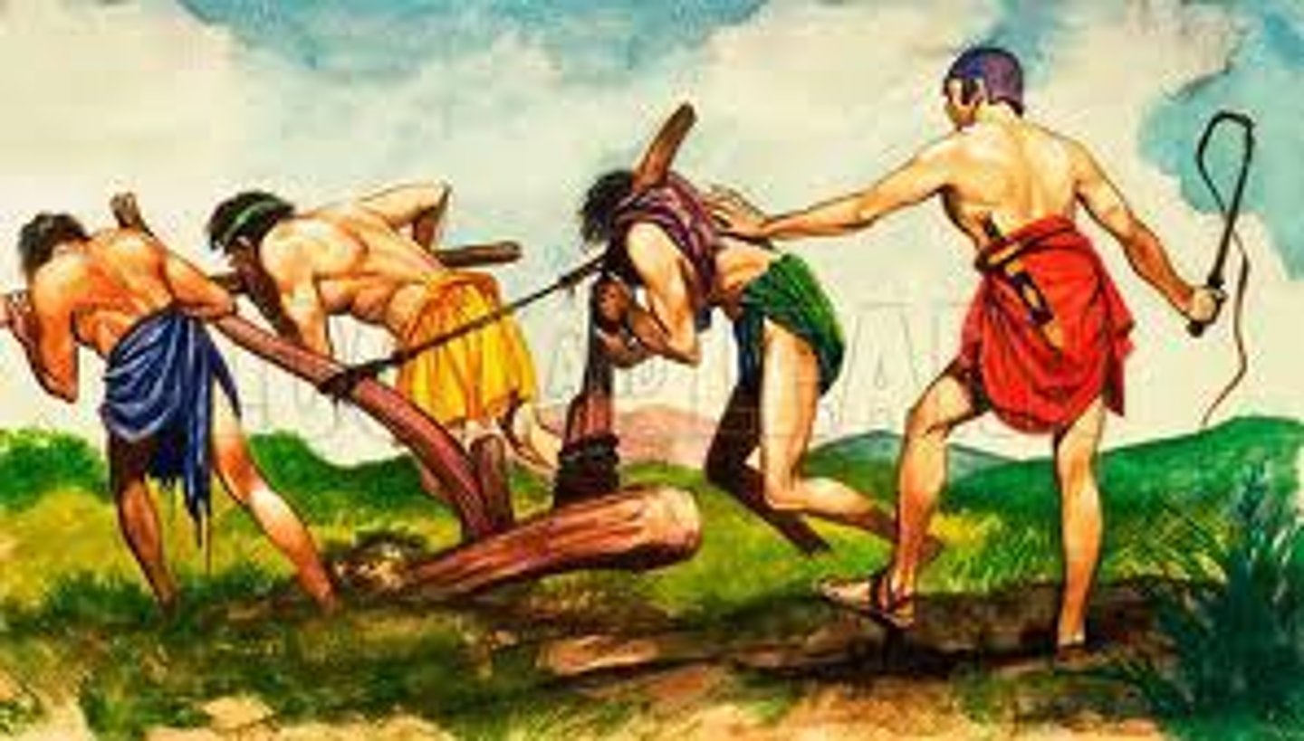 <p>A subjugated population in ancient Sparta, primarily agricultural laborers who were owned by the state.</p>