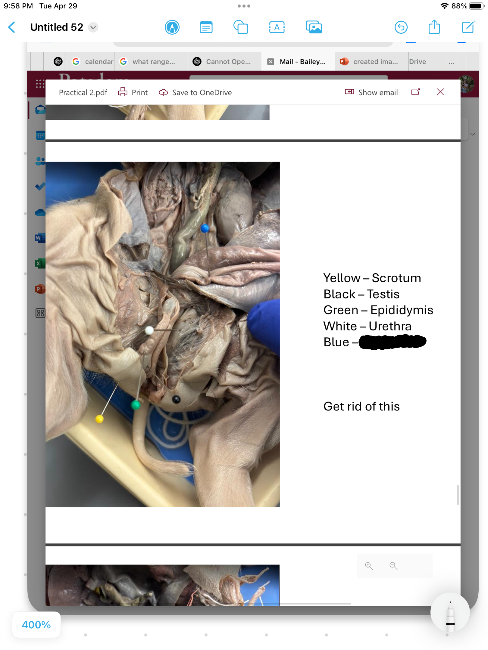 <p>label the area</p>