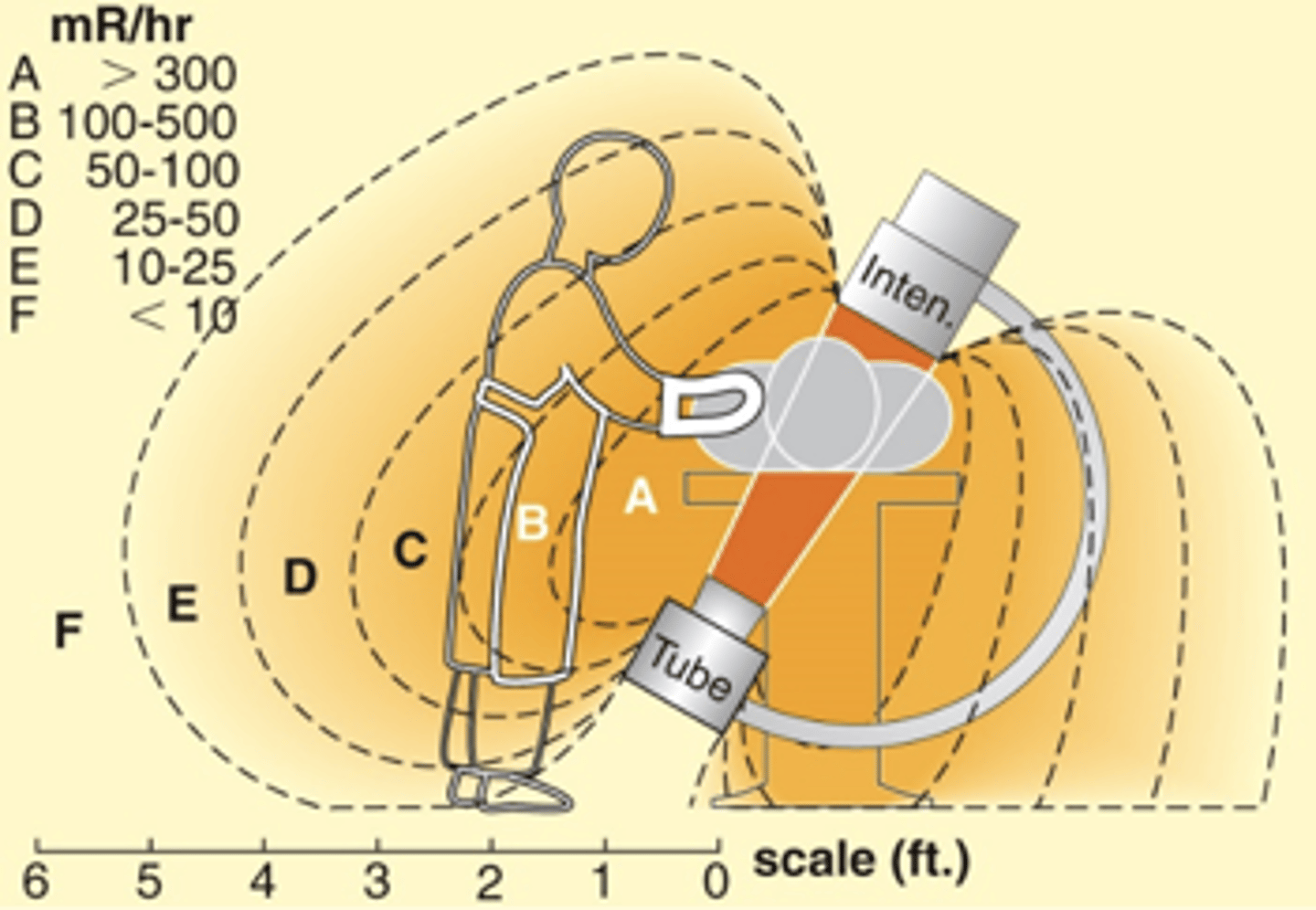 <p>- Increased exposure to face and neck by a factor of four</p>