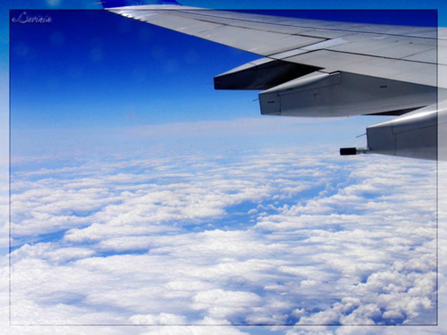 <p>to fly</p>