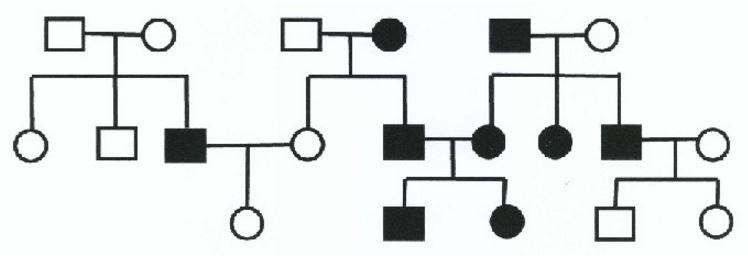 The shaded individuals in the pedigree below have an X-linked disorder that causes black teeth to be present instead of the normal white teeth. Assume that the capital letter represents the dominant allele.

Which tooth color is dominant?